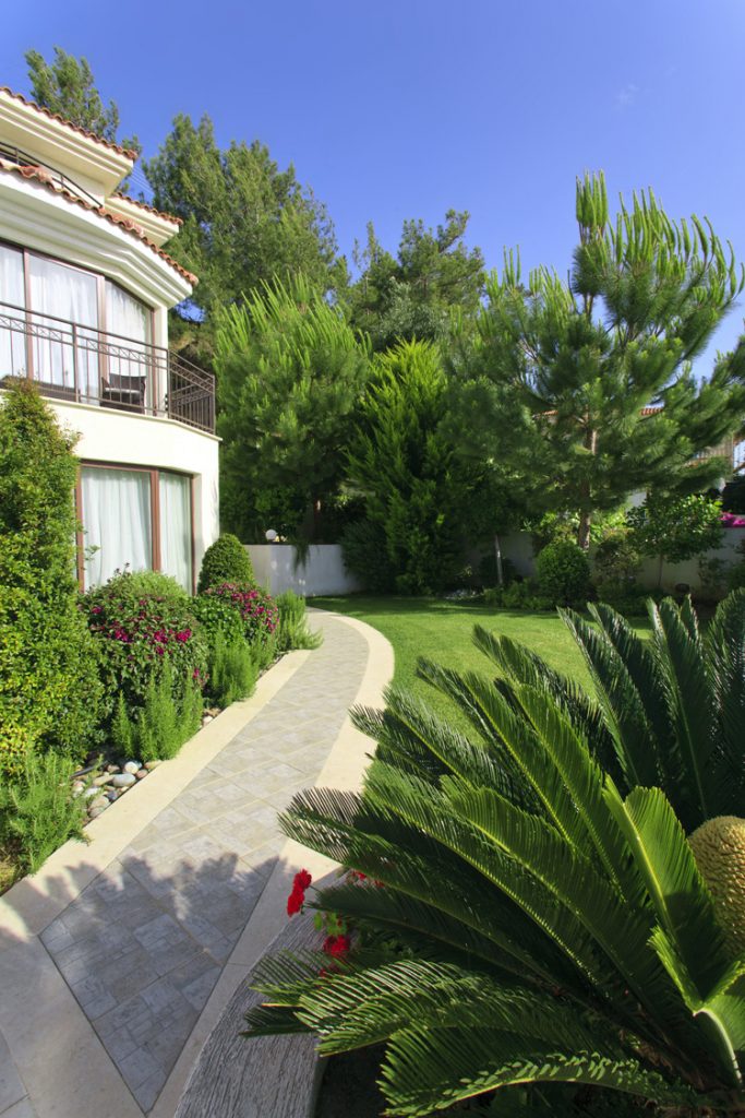 Green Forest - Cyprus' leading landscaping company - project 041 30 1