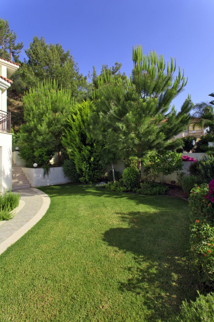 Green Forest - Cyprus' leading landscaping company - project 041 32