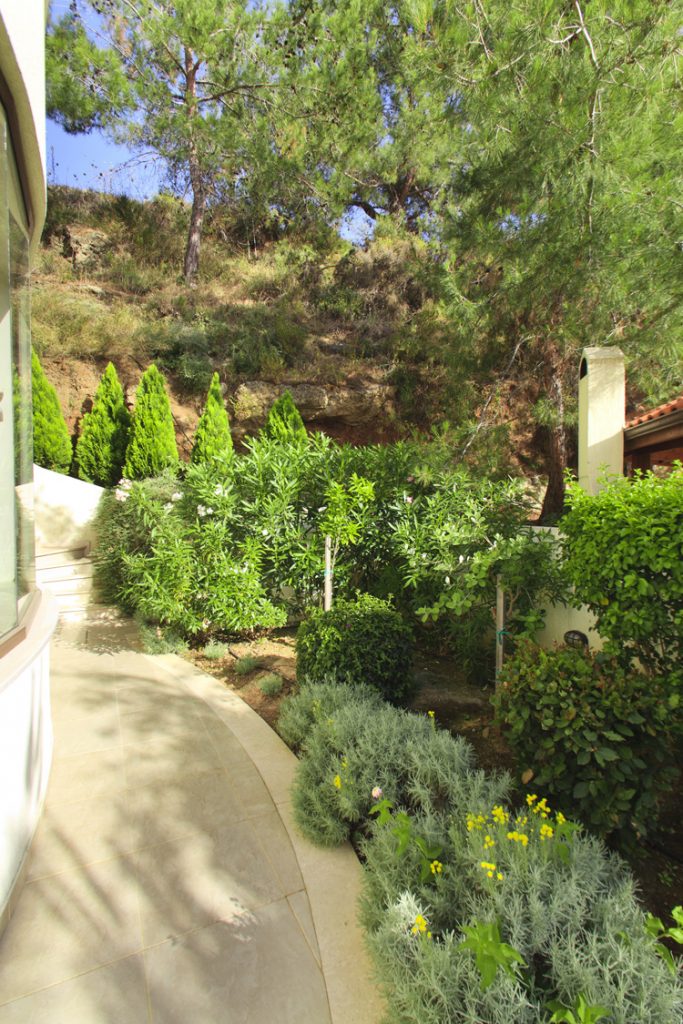 Green Forest - Cyprus' leading landscaping company - project 041 33 1
