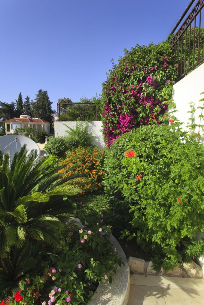 Green Forest - Cyprus' leading landscaping company - project 041 36 2