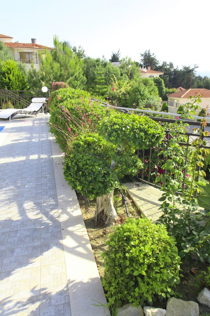 Green Forest - Cyprus' leading landscaping company - project 041 38
