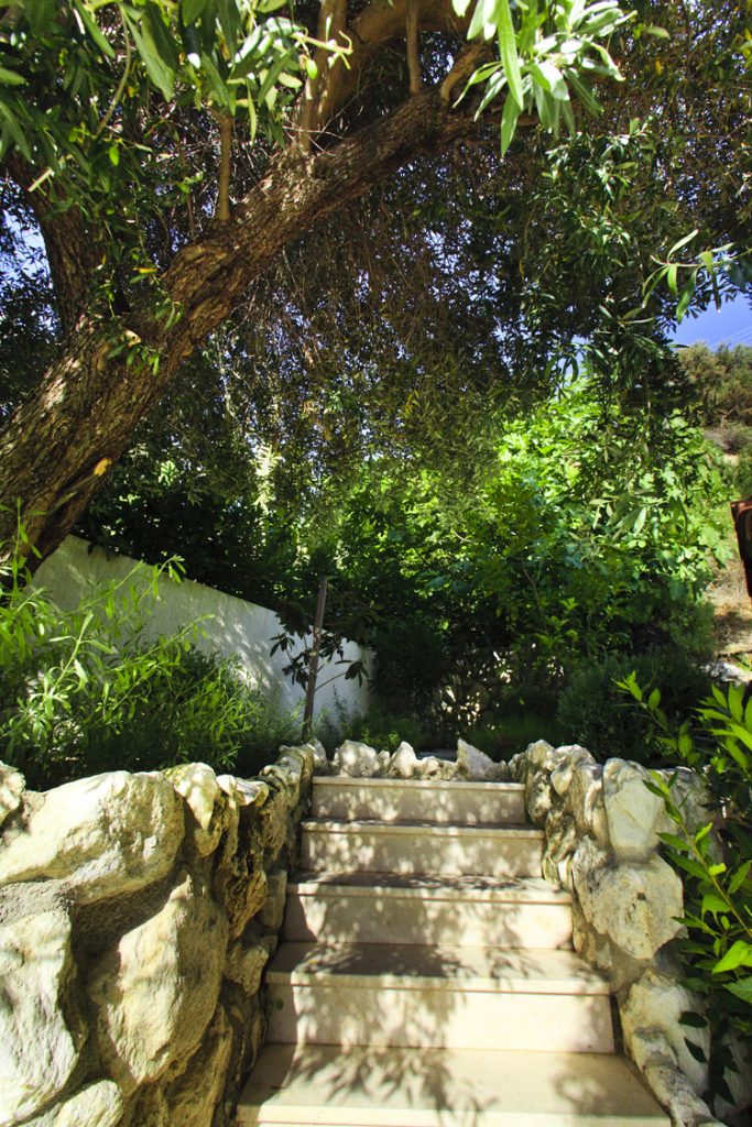 Green Forest - Cyprus' leading landscaping company - project 041 41 2