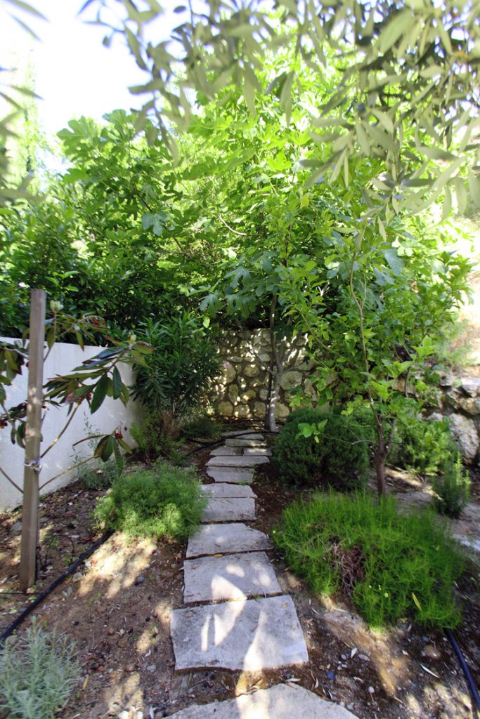 Green Forest - Cyprus' leading landscaping company - project 041 42 2