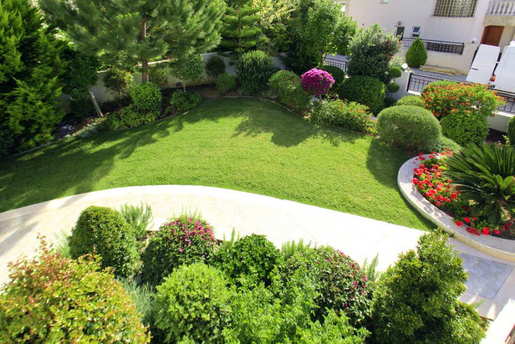 Green Forest - Cyprus' leading landscaping company - project 041 43 1