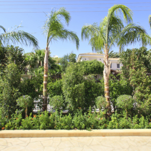 Green Forest - Cyprus' leading landscaping company - project 042 1 2