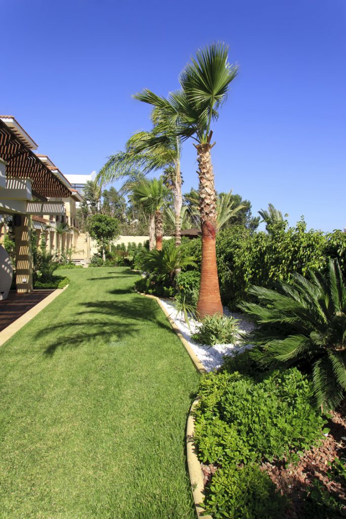 Green Forest - Cyprus' leading landscaping company - project 042 23