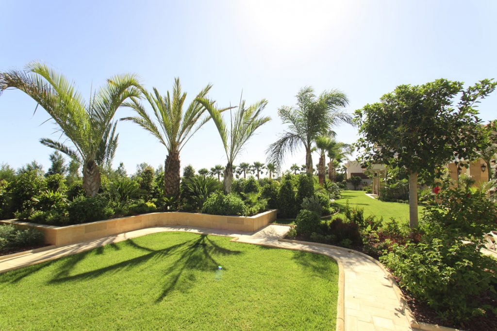 Green Forest - Cyprus' leading landscaping company - project 042 26 2
