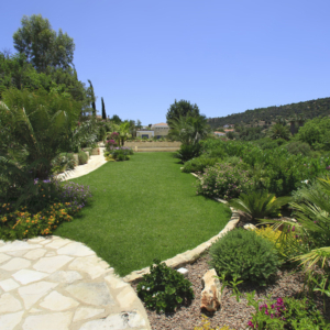 Green Forest - Cyprus' leading landscaping company - project 046 1