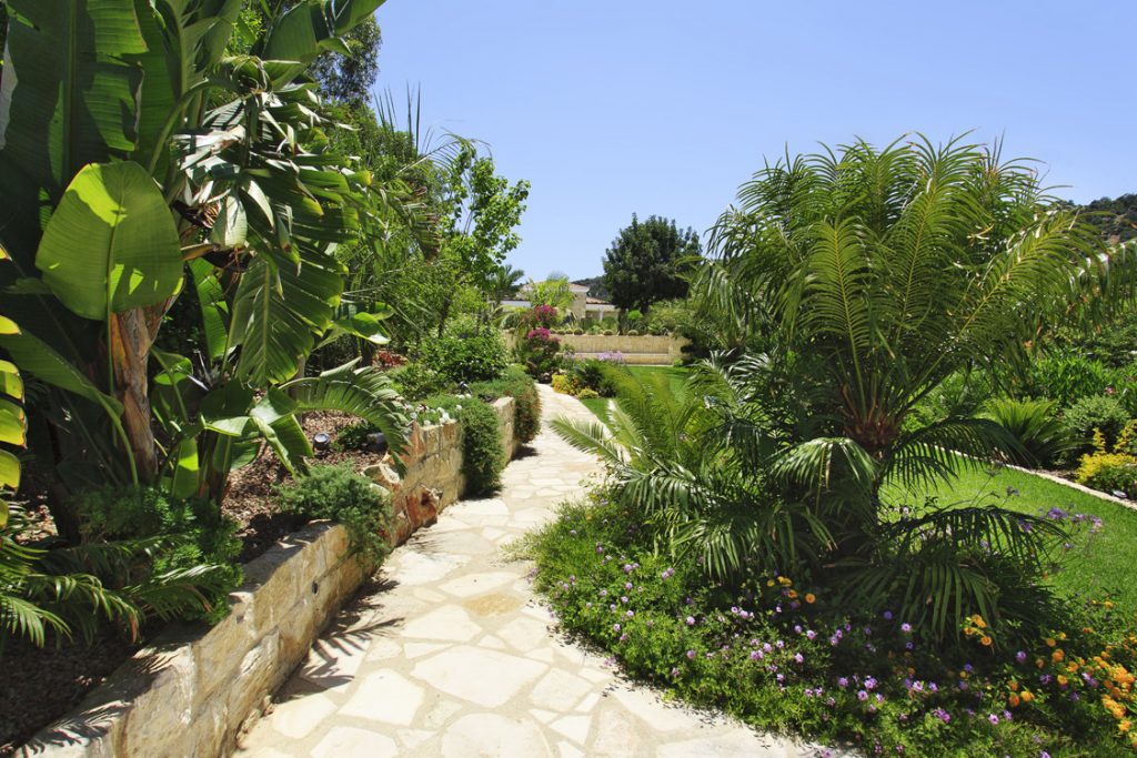 Green Forest - Cyprus' leading landscaping company - project 046 10