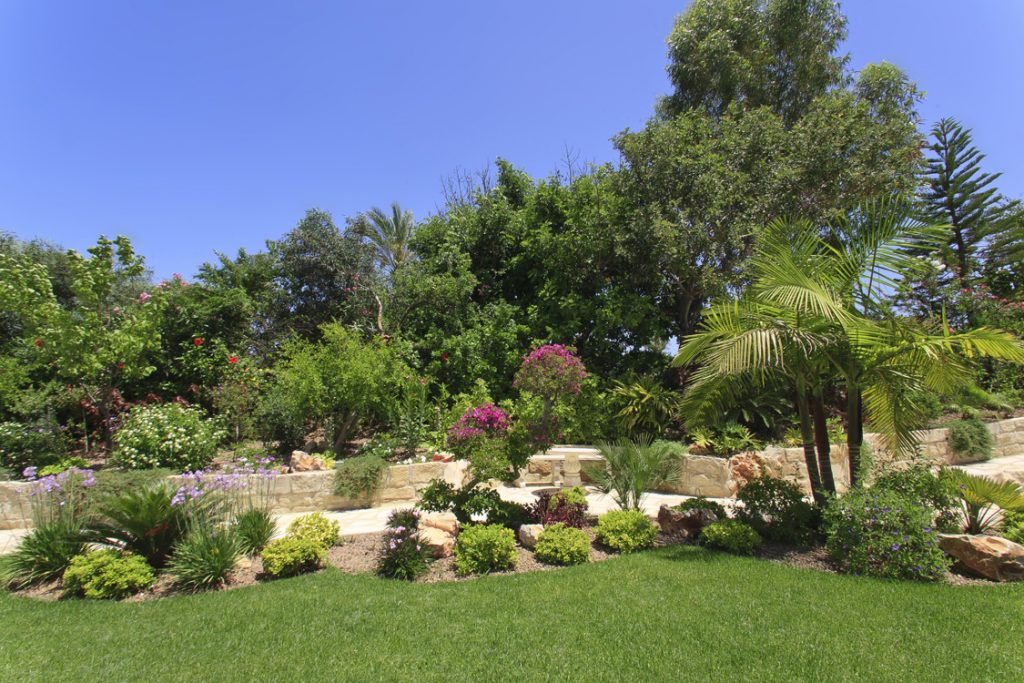 Green Forest - Cyprus' leading landscaping company - project 046 13 1