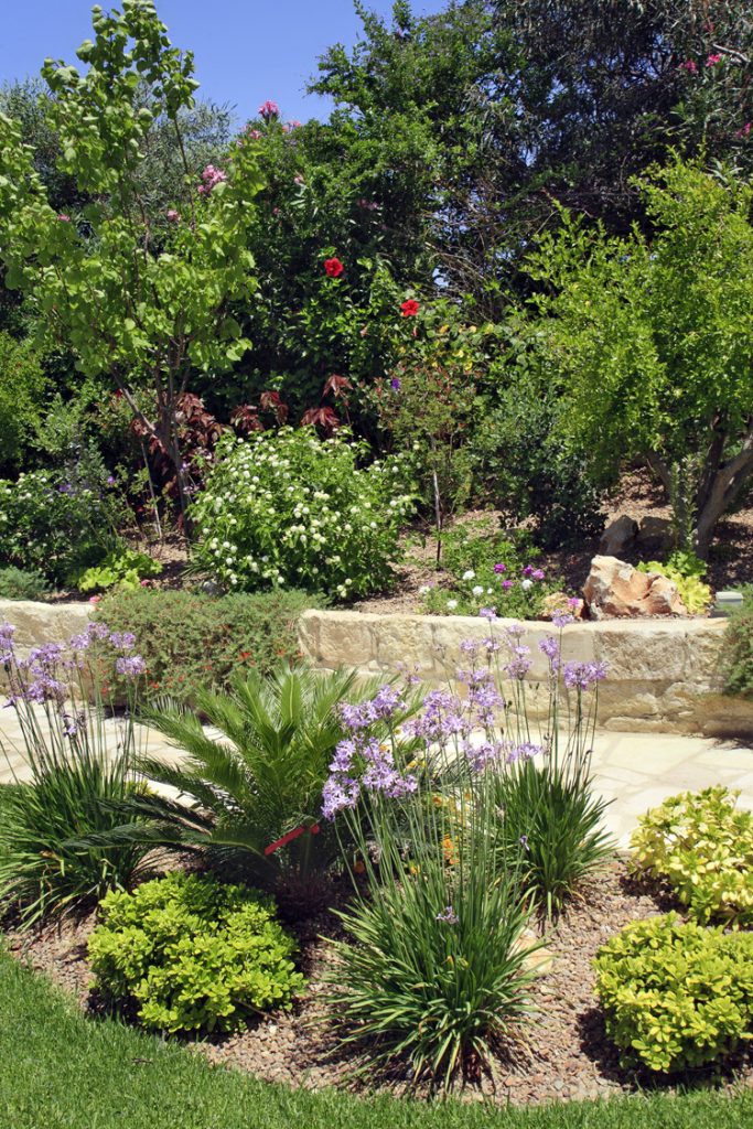 Green Forest - Cyprus' leading landscaping company - project 046 14 2