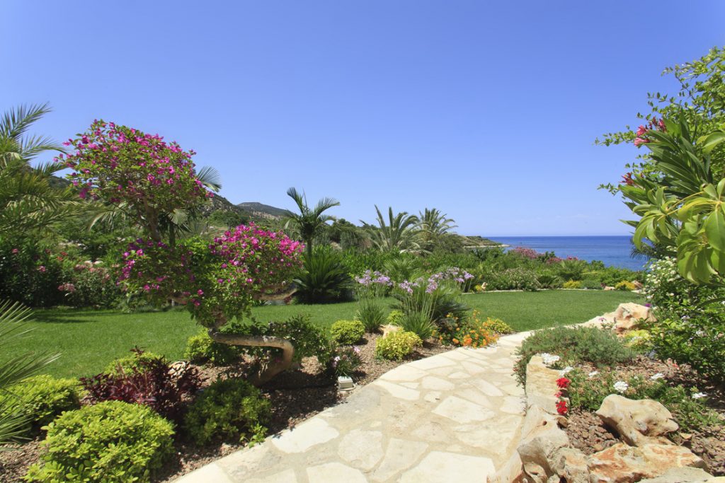Green Forest - Cyprus' leading landscaping company - project 046 15