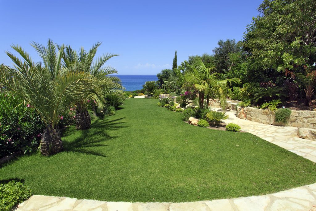 Green Forest - Cyprus' leading landscaping company - project 046 18 2