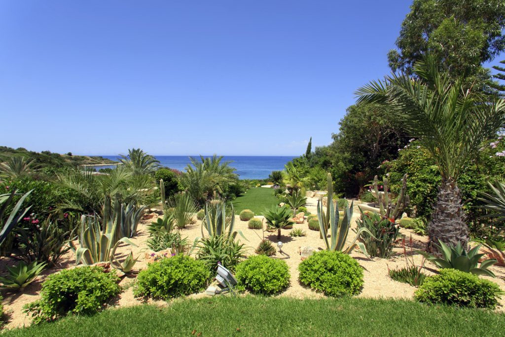 Green Forest - Cyprus' leading landscaping company - project 046 21 2