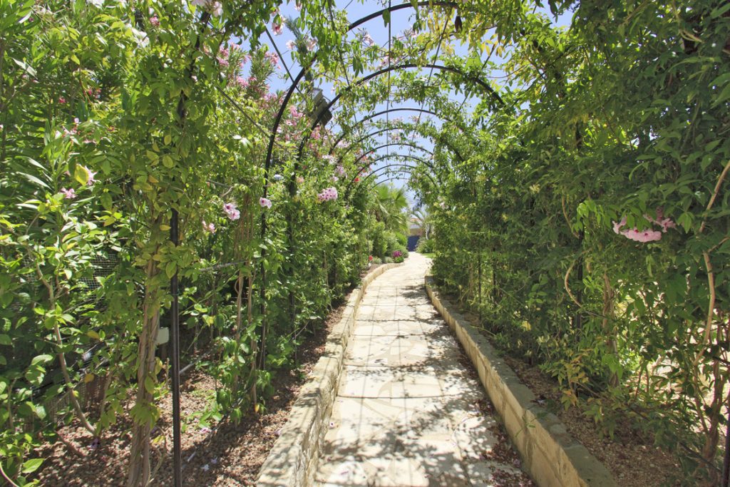 Green Forest - Cyprus' leading landscaping company - project 046 24