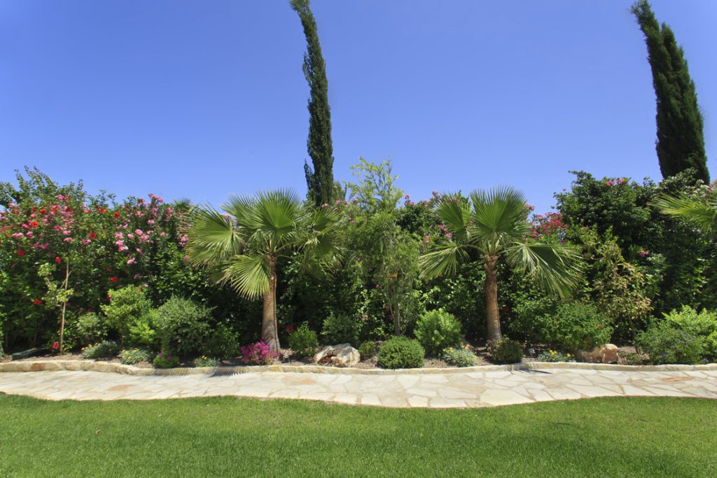 Green Forest - Cyprus' leading landscaping company - project 046 25