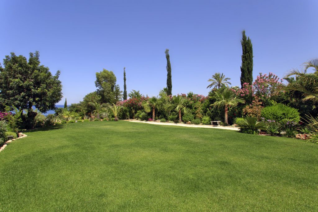 Green Forest - Cyprus' leading landscaping company - project 046 28
