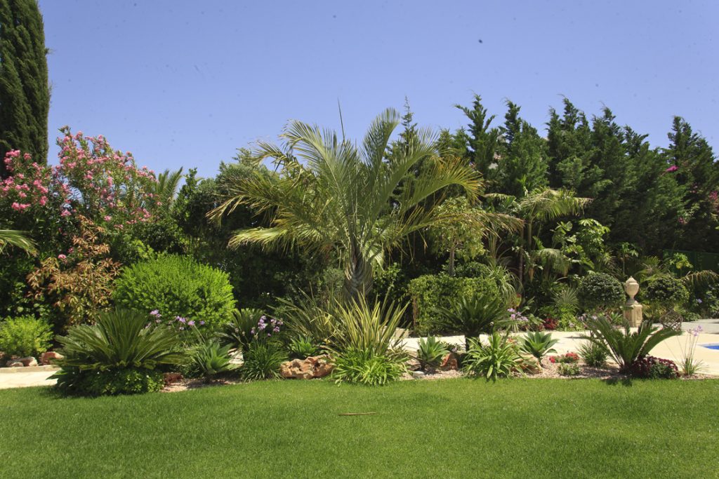 Green Forest - Cyprus' leading landscaping company - project 046 29 1