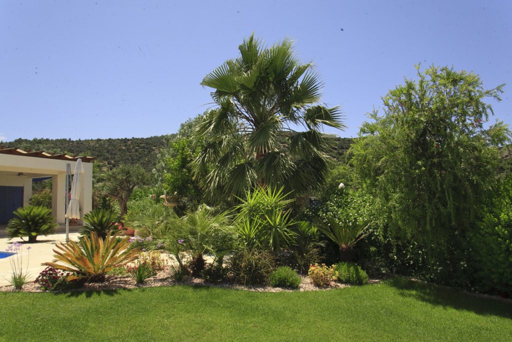 Green Forest - Cyprus' leading landscaping company - project 046 30 2
