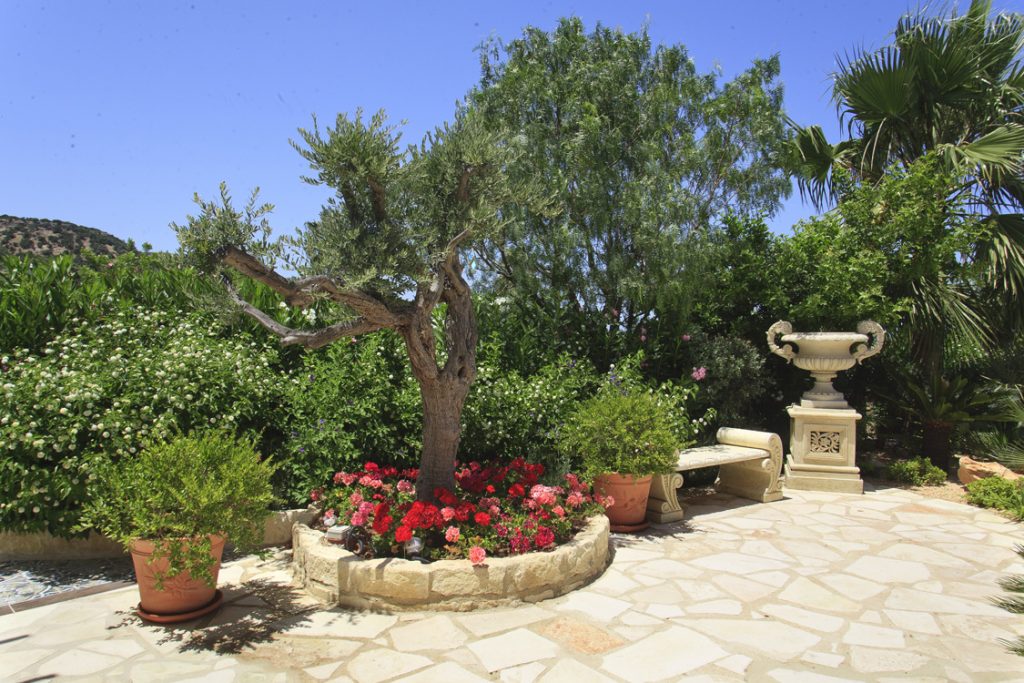 Green Forest - Cyprus' leading landscaping company - project 046 34 2