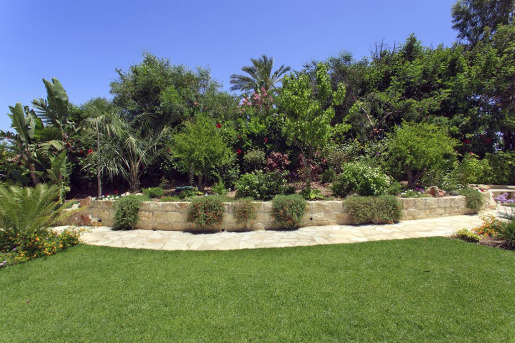 Green Forest - Cyprus' leading landscaping company - project 046 6 2