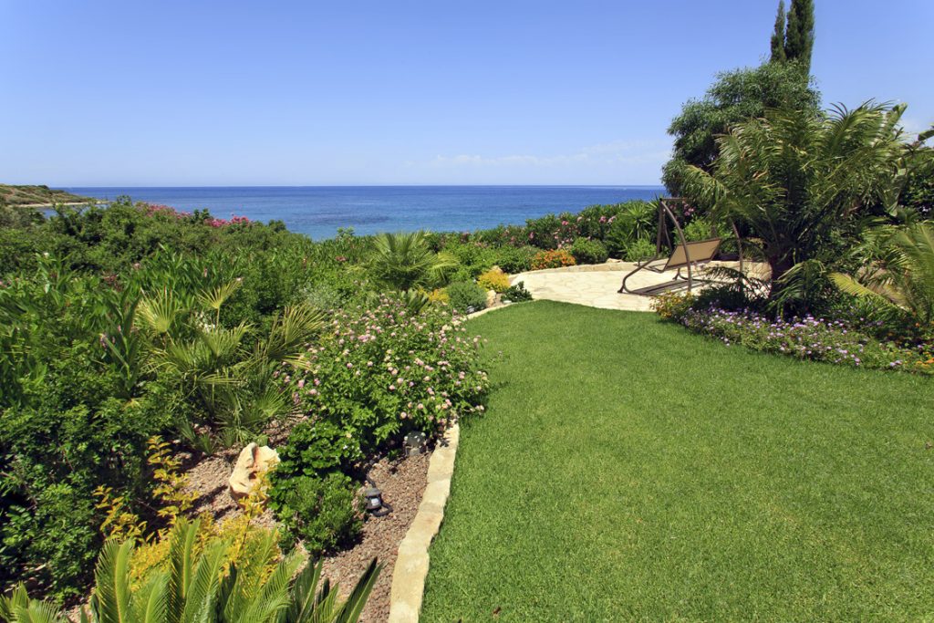Green Forest - Cyprus' leading landscaping company - project 046 7