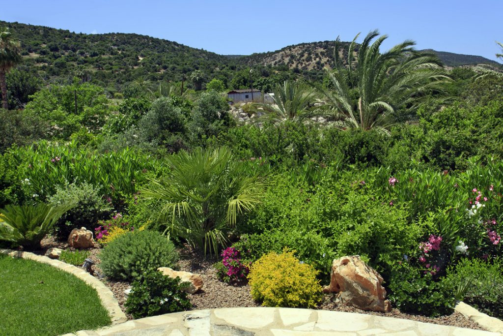 Green Forest - Cyprus' leading landscaping company - project 046 9 1