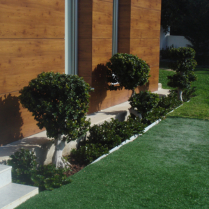 Green Forest - Cyprus' leading landscaping company - project 047 1