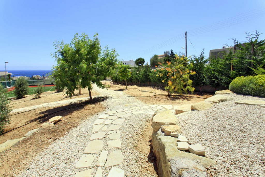 Green Forest - Cyprus' leading landscaping company - project 048 1 2