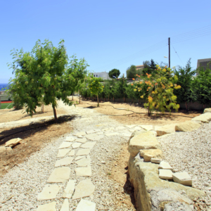 Green Forest - Cyprus' leading landscaping company - project 048 1 2