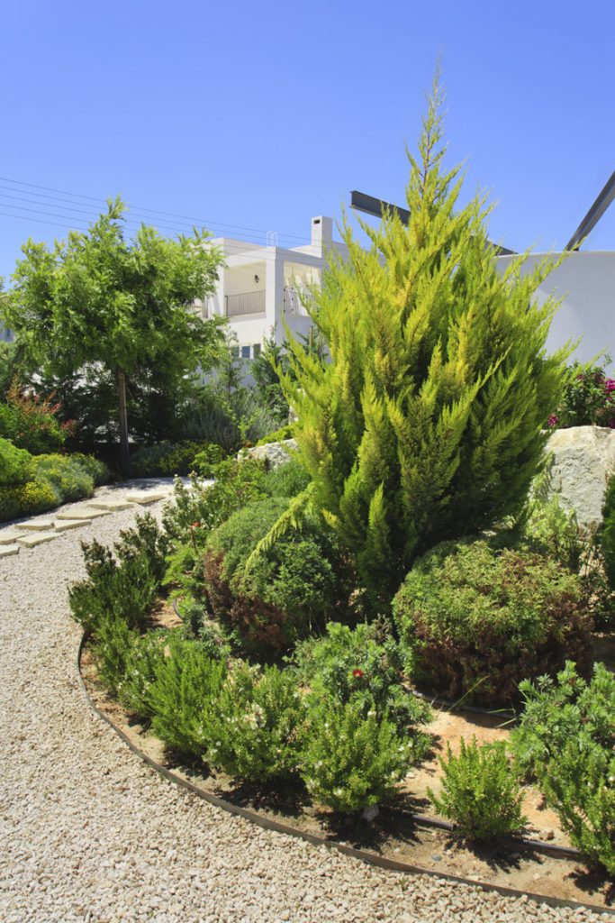Green Forest - Cyprus' leading landscaping company - project 048 10
