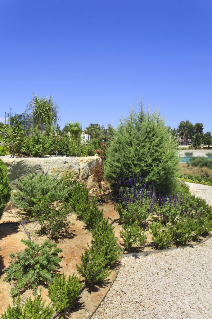 Green Forest - Cyprus' leading landscaping company - project 048 11