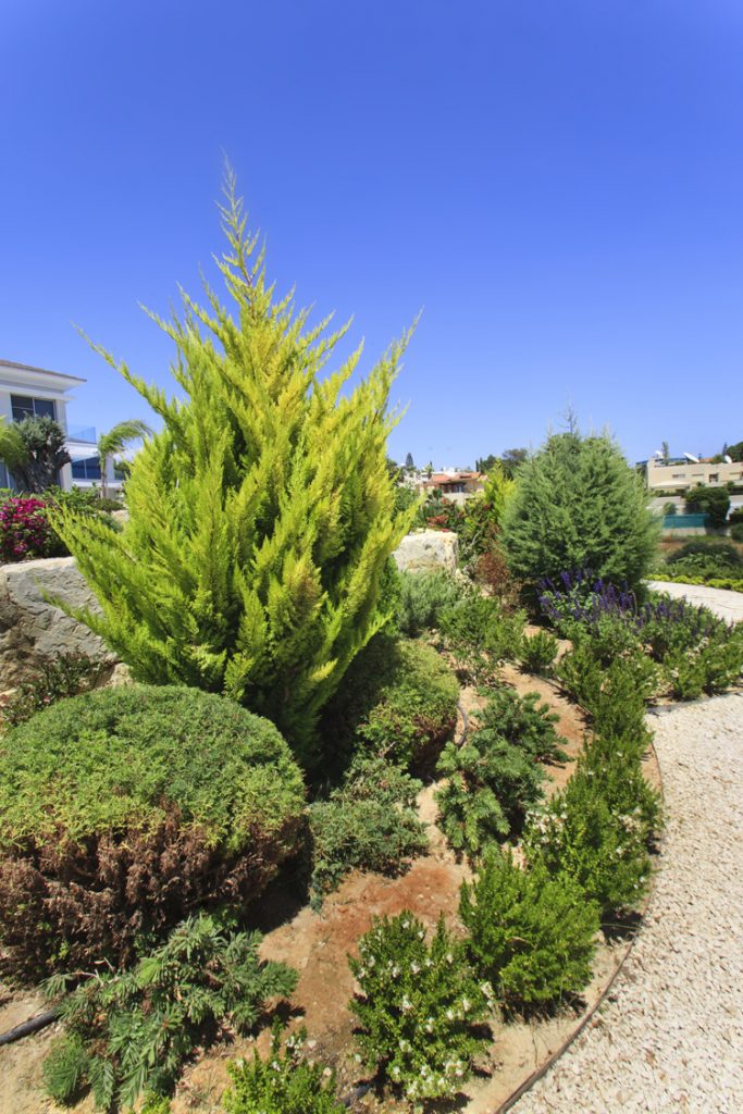 Green Forest - Cyprus' leading landscaping company - project 048 12 2