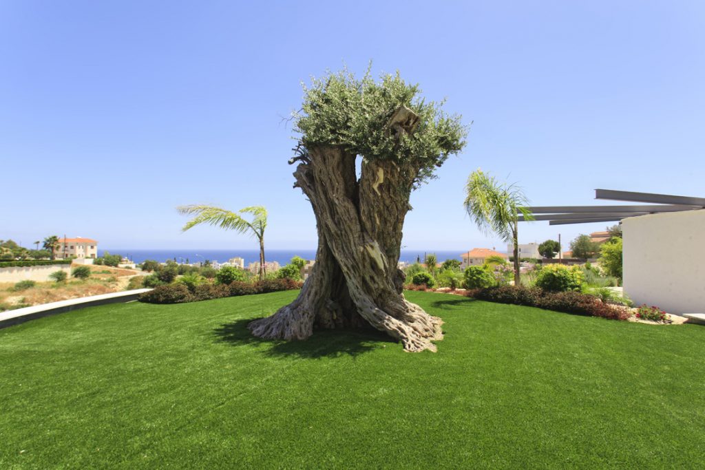 Green Forest - Cyprus' leading landscaping company - project 048 18 1
