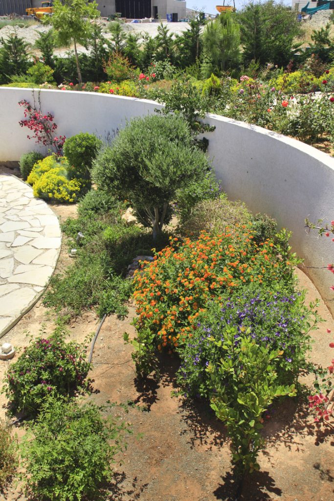 Green Forest - Cyprus' leading landscaping company - project 048 8 2