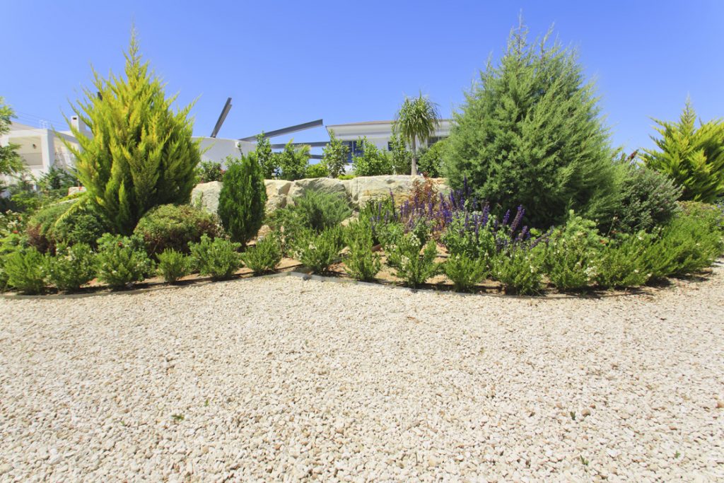 Green Forest - Cyprus' leading landscaping company - project 048 9 2