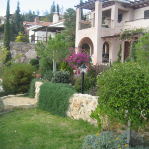 Green Forest - Cyprus' leading landscaping company - project 049 1 1