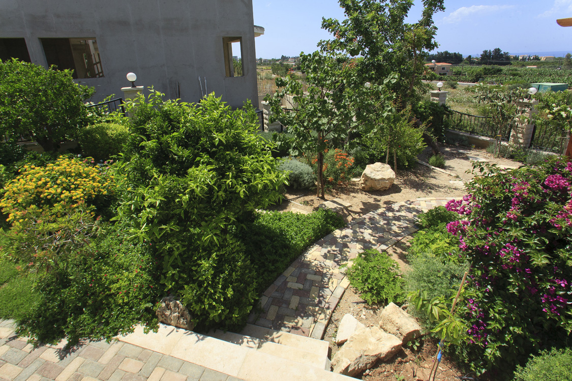 Green Forest - Cyprus' leading landscaping company - project 050 13 2