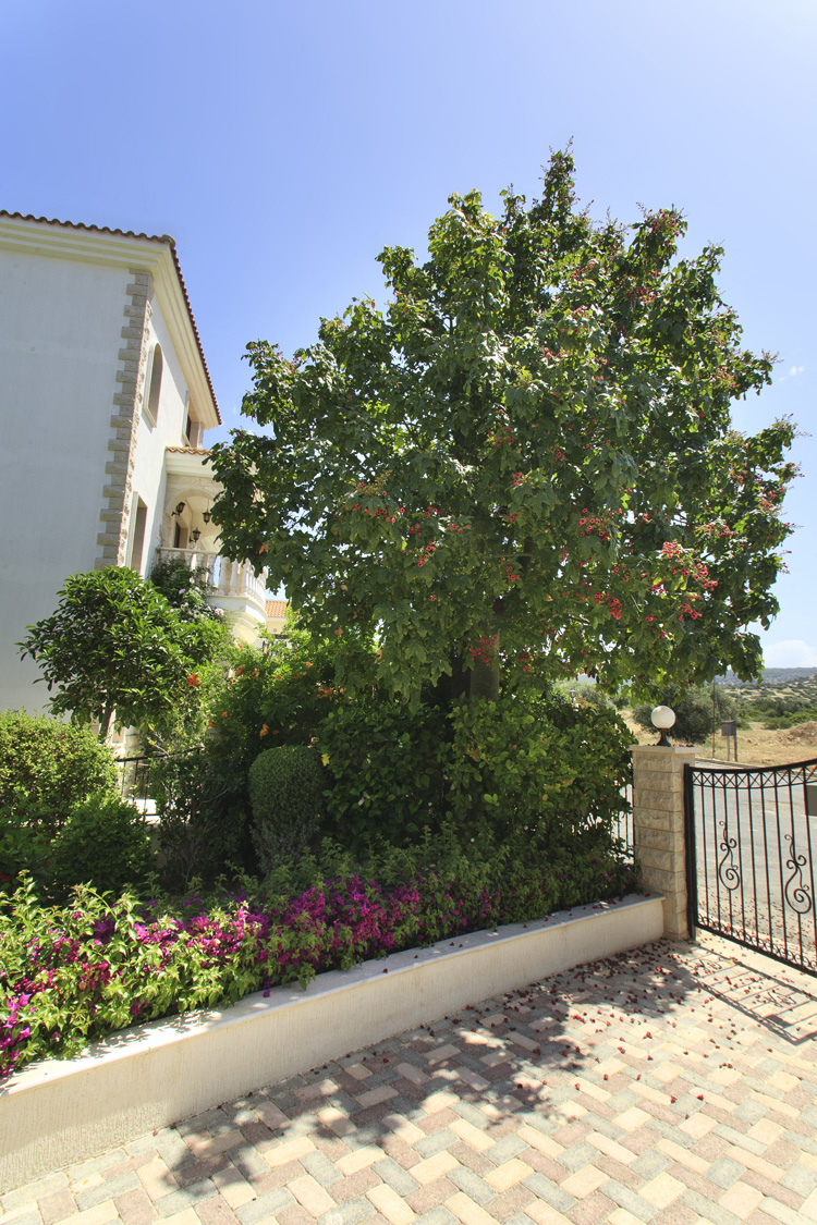 Green Forest - Cyprus' leading landscaping company - project 050 21 2