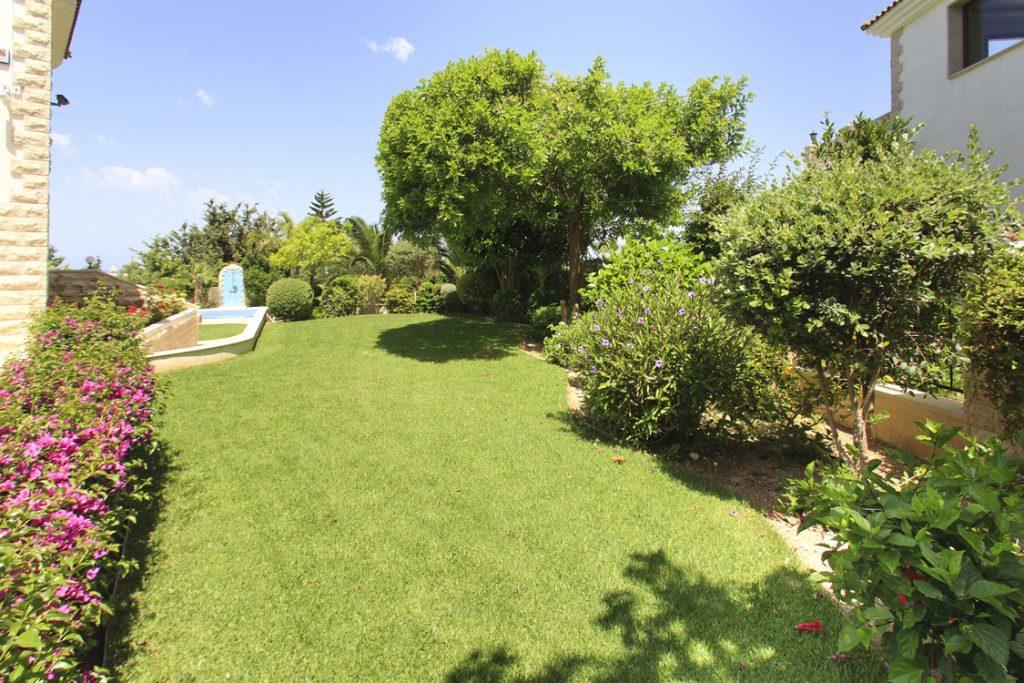 Green Forest - Cyprus' leading landscaping company - project 050 24 2