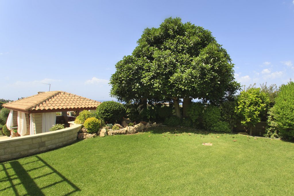 Green Forest - Cyprus' leading landscaping company - project 050 3