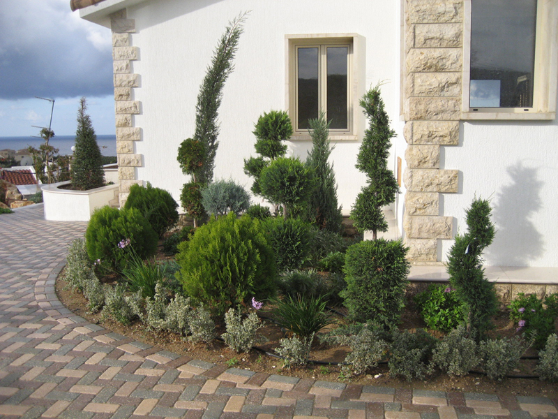 Green Forest - Cyprus' leading landscaping company - project 050 44