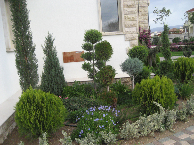 Green Forest - Cyprus' leading landscaping company - project 050 45 2