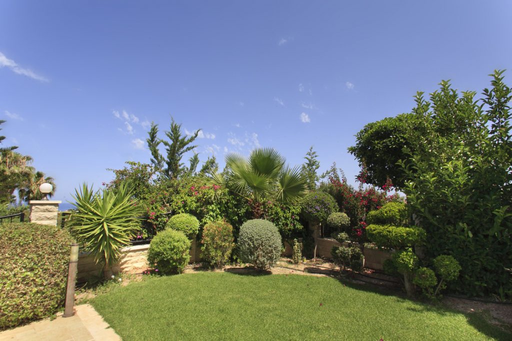Green Forest - Cyprus' leading landscaping company - project 050 5 2