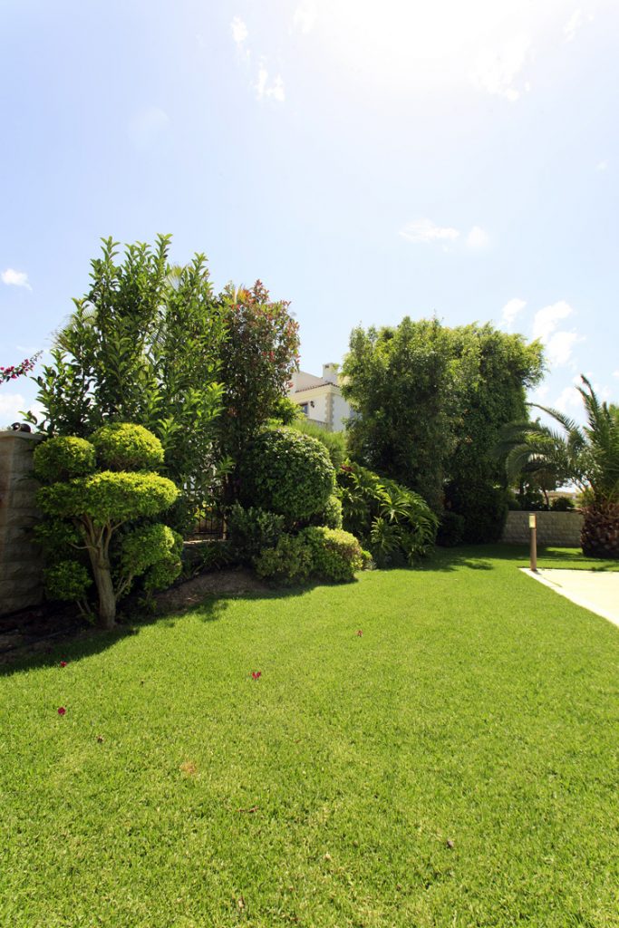Green Forest - Cyprus' leading landscaping company - project 050 6
