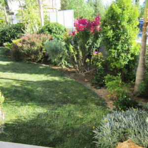 Green Forest - Cyprus' leading landscaping company - project 052 1 2