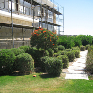 Green Forest - Cyprus' leading landscaping company - project 053 1 1