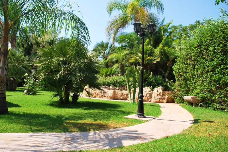 Green Forest - Cyprus' leading landscaping company - project062 18 2