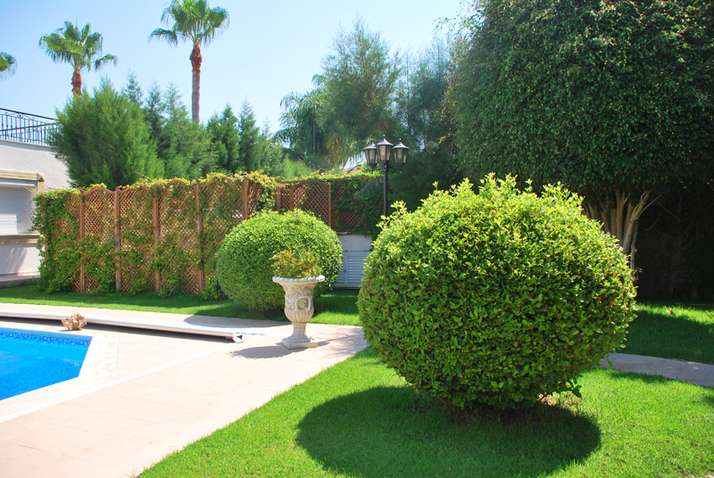 Green Forest - Cyprus' leading landscaping company - project062 19 2