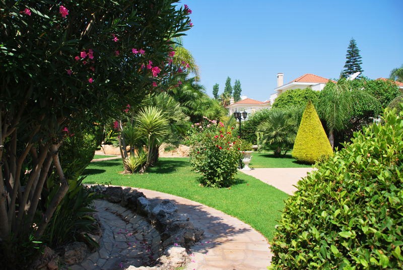 Green Forest - Cyprus' leading landscaping company - project062 20 1